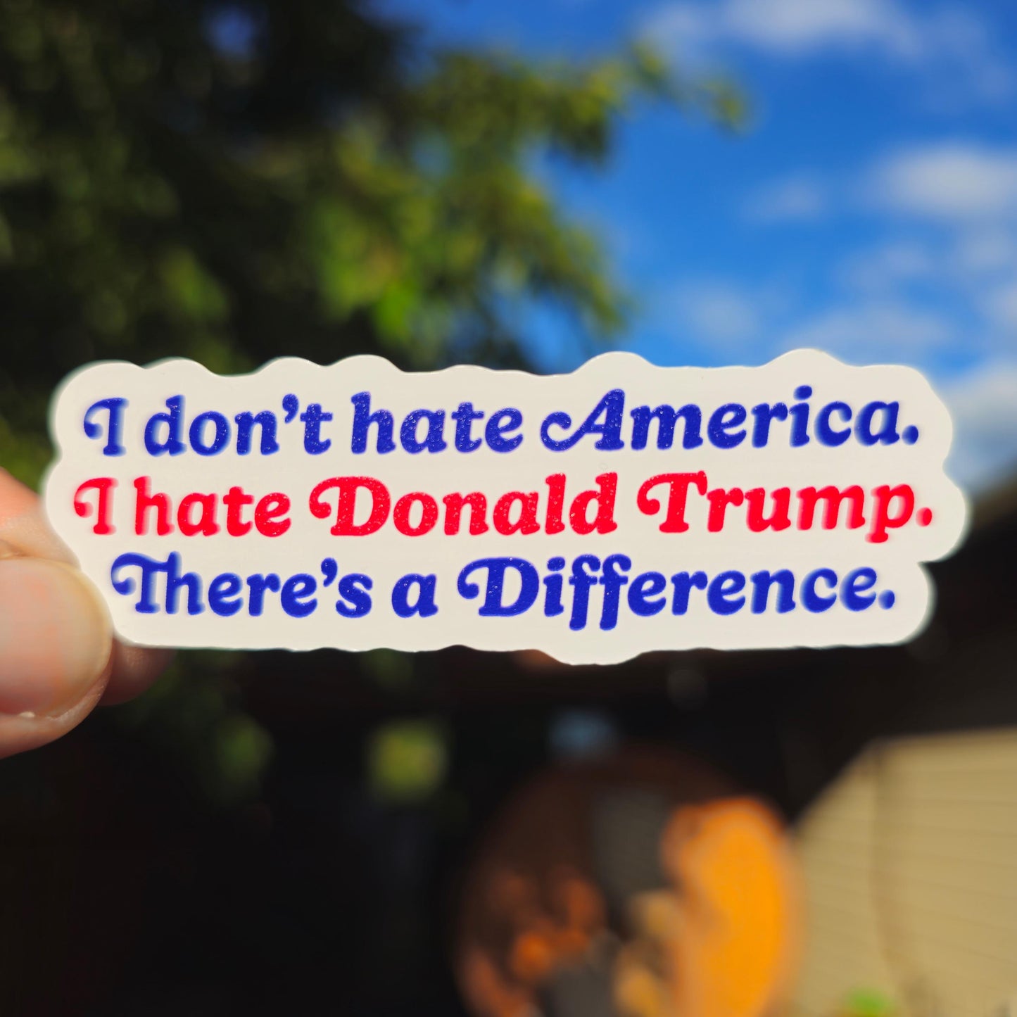Anti-Trump Sticker | Pro America Decal | Anti MAGA | Pro Democracy | Political Protest Vinyl