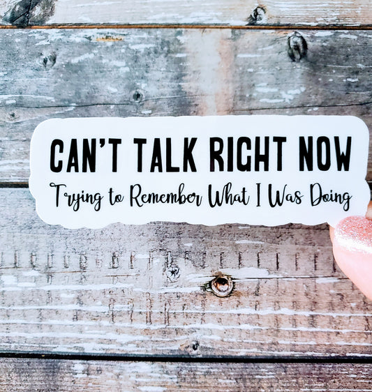 ADHD Sticker, ADHD Problems Sticker, Can't Talk Right Now Decal, Can't Remember Shit Sticker