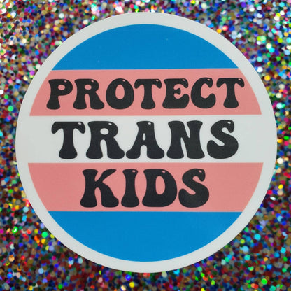 Protect Trans Youth Sticker, Protect Trans Kids Sticker, Trans Rights are Human Rights Decal, Human Equality Sticker