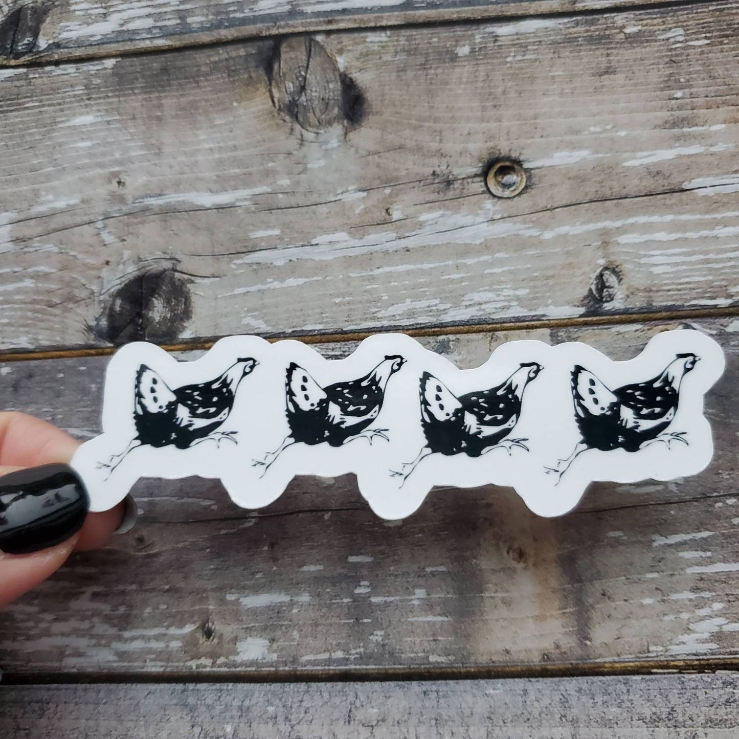 Hens Sticker, Running Chickens Sticker, Black and White Chicken Decal, Gift for Chicken Lover