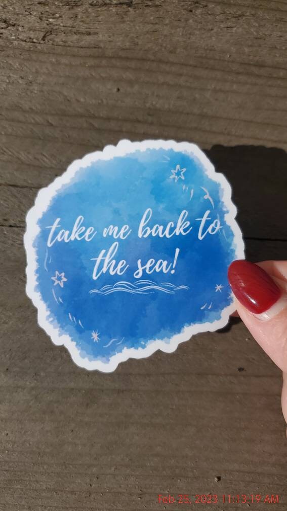 Beach Sticker, Back to the Beach Decal, Sea Sticker, Beach Bum Surf Sticker