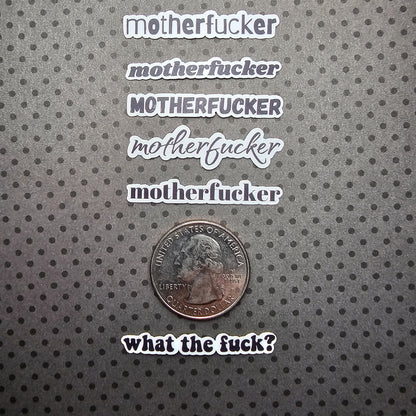Mini Bad Word Stickers Pack | Swear Stickers | Fuck Stickers | Best Friend Gift | Roommate Gift | Custom Sticker Pack