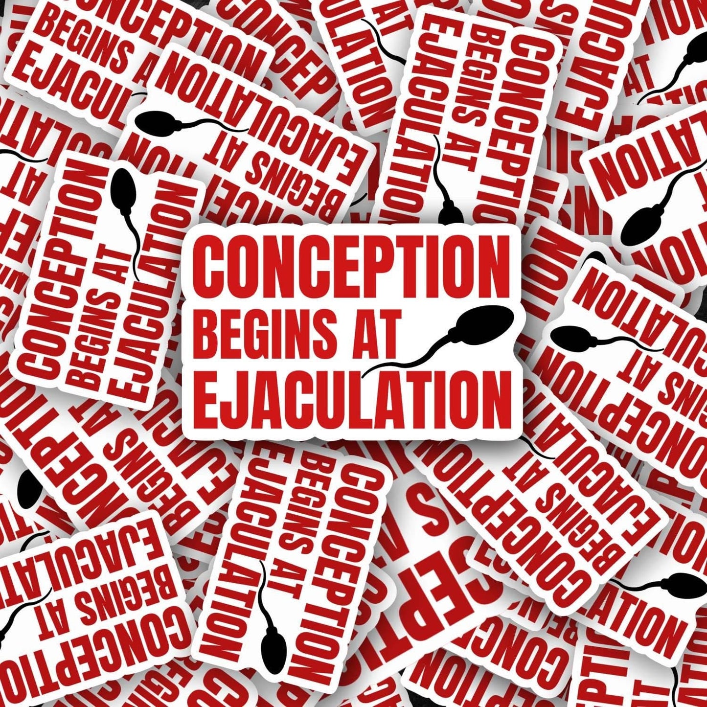 Conception Begins at Ejaculation |Empowering Feminist Sticker | Pro Women's Rights | Anti-Patriarchy | Roe v. Wade | Activism Stickers
