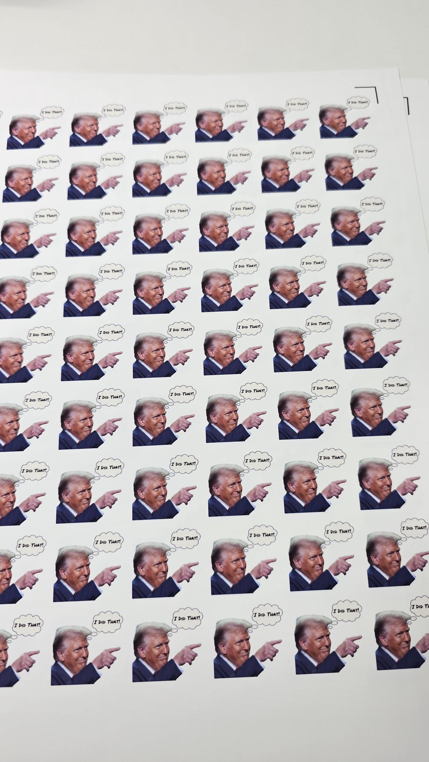I Did That Anti Trump Sticker | Trump Sticker Pack | Fuck Trump | FDT | Anti-Trump Vinyl Decal