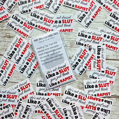 Feminist Sticker | Anti-Patriarchy Vinyl Decal | Anti Victim-Blaming | Survivor Support | Activist Sticker for Women’s Rights